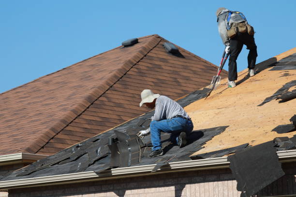 Best Gutter Installation and Repair  in Batesburg Leesville, SC