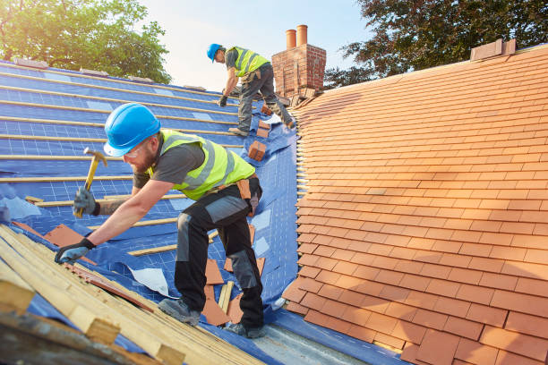 Best Skylight Installation and Repair  in Batesburg Leesville, SC